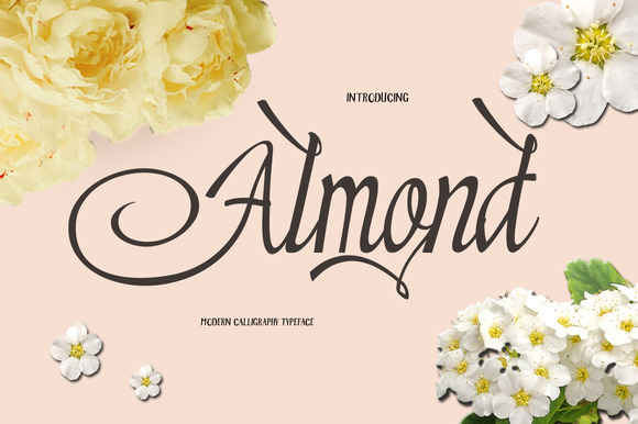 Almond Font: Elevating Small Business Branding