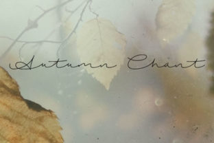 Autumn Chant Font: A Campaign Design Review
