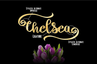 Chelsea Font Review: A Hand-Lettered Script for Branding