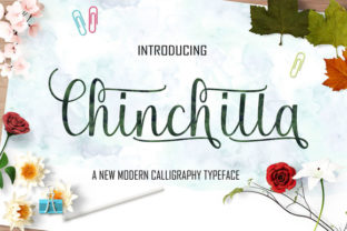 Chinchilla Font: Elevating Digital Campaigns with Luxury Script