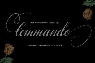 Commando Font Review for Modern Web Design
