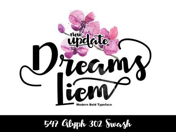 Dreams Liem Font Review: High-Impact Script for Campaigns