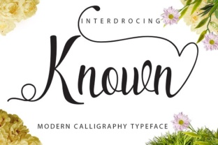 Known Font Review: Elevating Small Business Branding