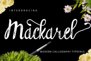 Mackarel Font: Elevating Digital Campaigns