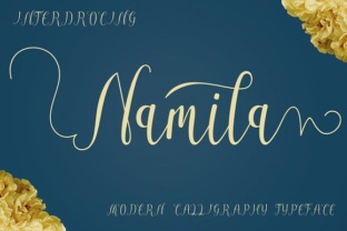 Namila Font Review: A Handwritten Script for Organic Branding
