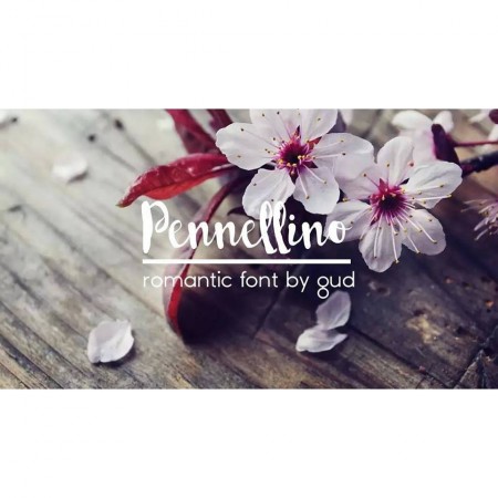 Pennellino Font: Elevating Campaign Visuals with Brush Script