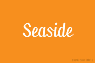 Seaside Font: Elegant Script for Digital Branding