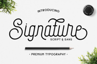 Signature Font: Elevating Editorial Design with Warmth
