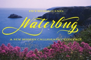 Waterbug Font: A Designer’s Take on Handwritten Type